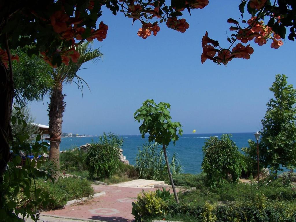 Guven Hotel Alanya Eksteriør bilde